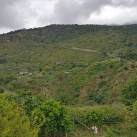 Collesano - 23 maggio 2018