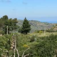 Collesano - 24 maggio 2018