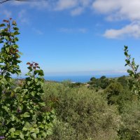 Collesano - 24 maggio 2018